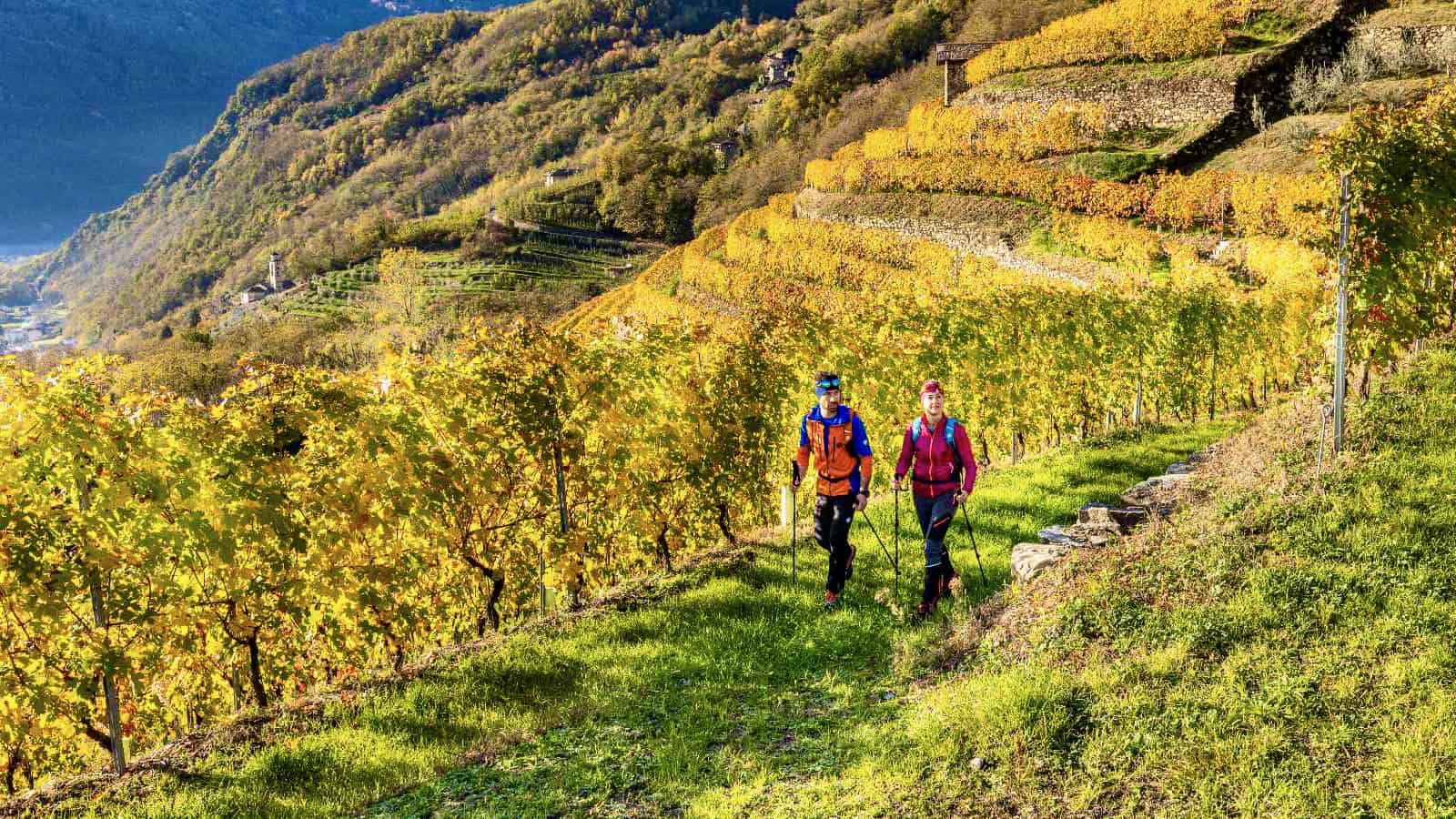 Hiking Bologna Degustazione